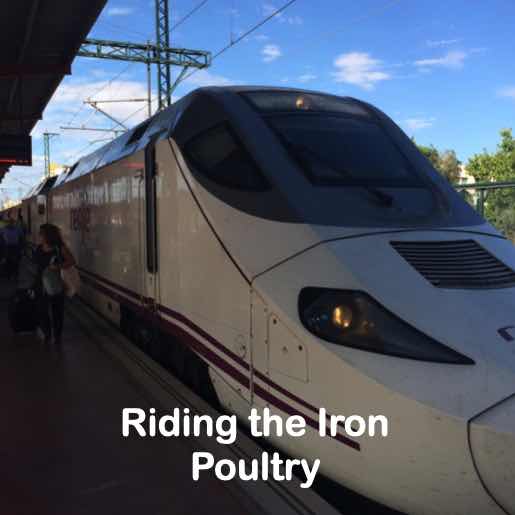 Riding the Iron Poultry MrJohn