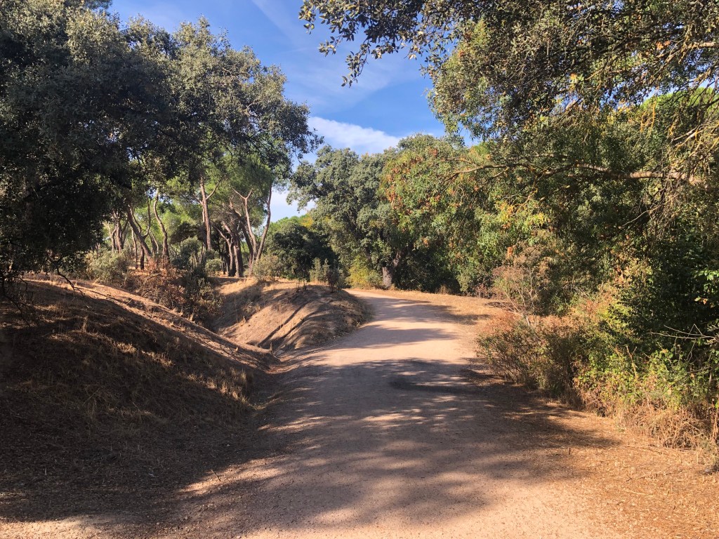 Casa de Campo Madrid